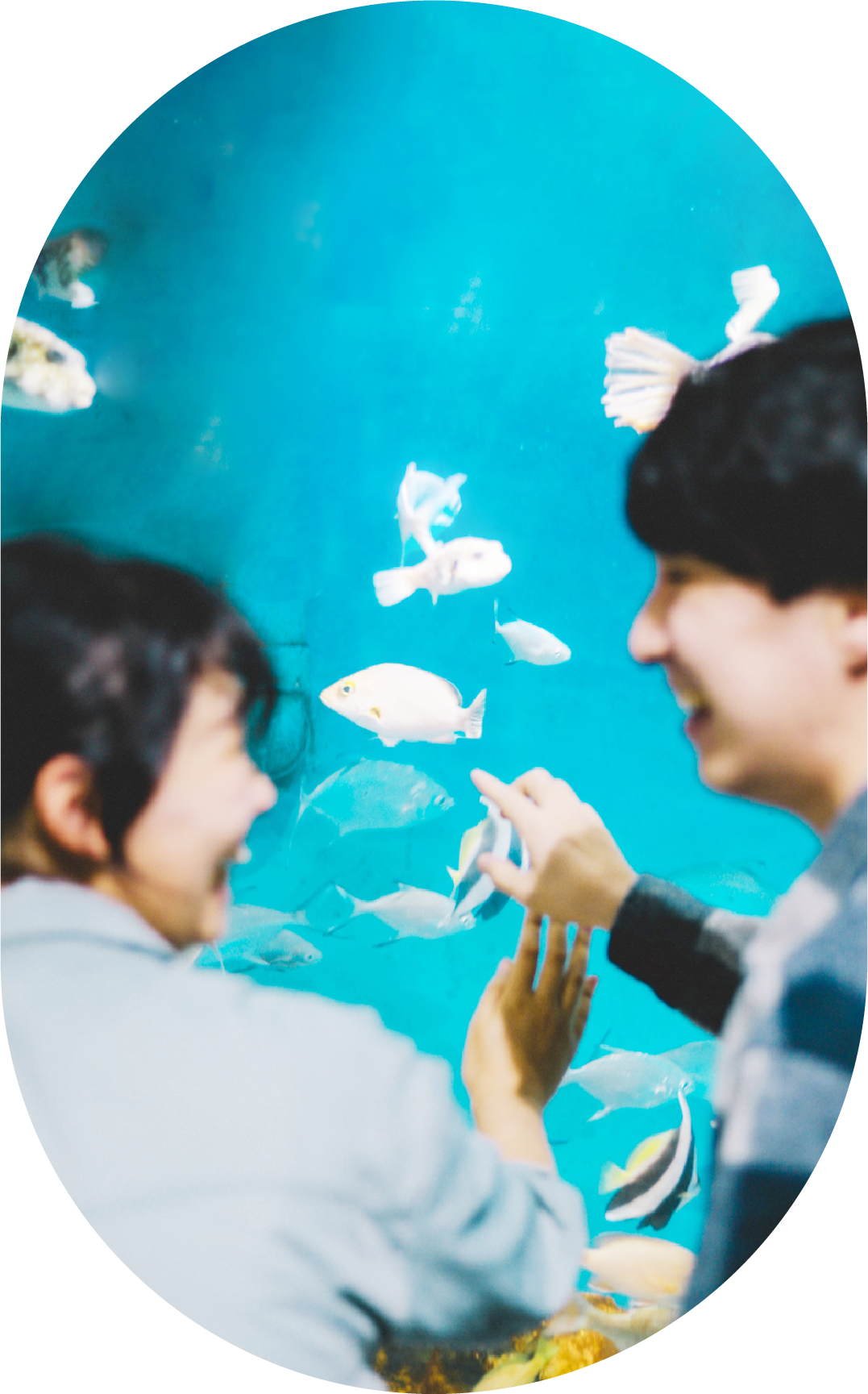 夜の水族館で水槽を眺めて笑い合う二人